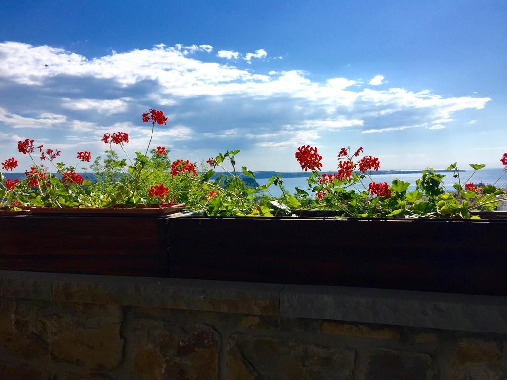 Istrian House Daire Portorož Dış mekan fotoğraf